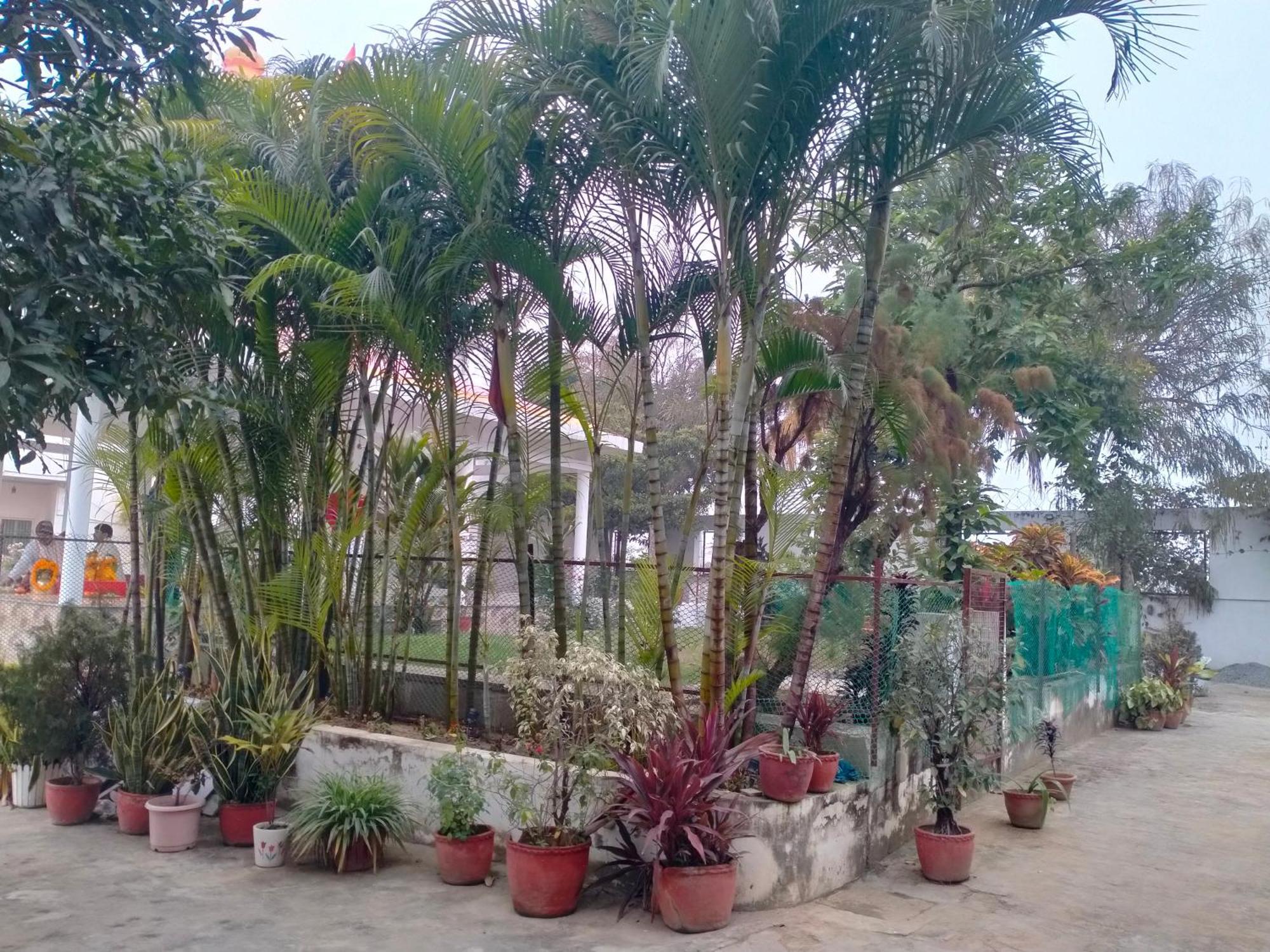 Vedic Villa - Varanasi — Photos 1